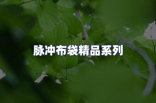 脉冲布袋精品系列
